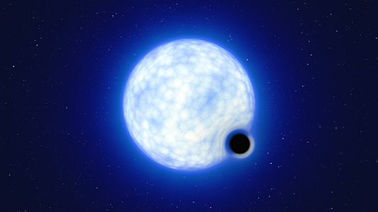 This artist’s impression shows what the binary system VFTS 243 might look like if we were observing it up close. The system, which is located in the Tarantula Nebula in the Large Magellanic Cloud, is composed of a hot, blue star with 25 times the Sun’s mass and a black hole, which is at least nine times the mass of the Sun. The sizes of the two binary components are not to scale: in reality, the blue star is about 200 000 times larger than the black hole.  Note that the 'lensing' effect around the black hole is shown for illustration purposes only, to make this dark object more noticeable in the image. The inclination of the system means that, when looking at it from Earth, we cannot observe the black hole eclipsing the star.